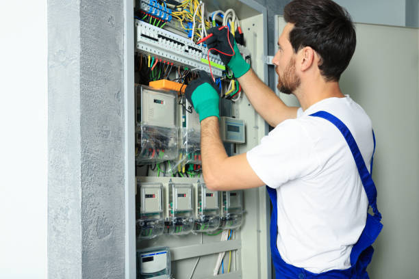Best Electric Panel Repair  in Milliken, CO
